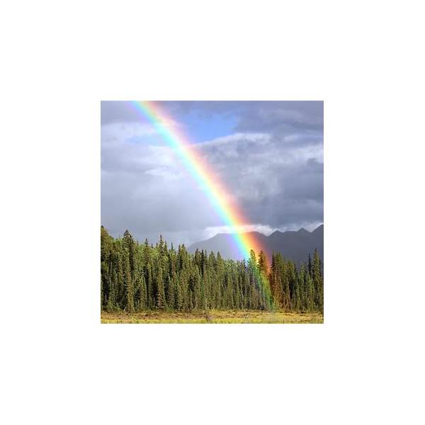 Silk Rainbow Gradient PLA Gravity Retractable Rapier